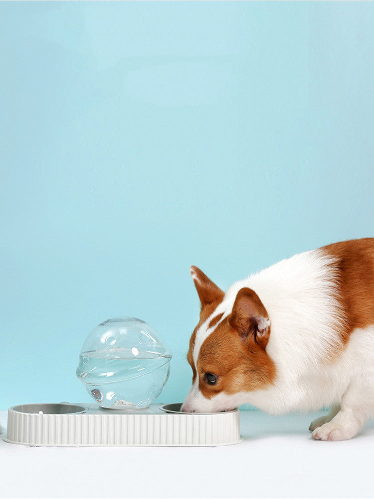 Transform Your Pet's Feeding Experience with the Automatic Plastic Feeding and Water Bowl
