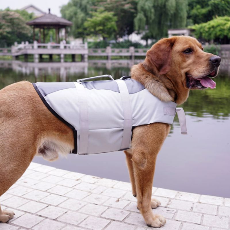 The Ultimate Safety Companion for Your Pet: Adjustable Safety Life Jacket Vest