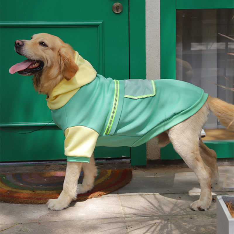 Why Your Pet Deserves the Best: The Large Pet Sweater Apparel