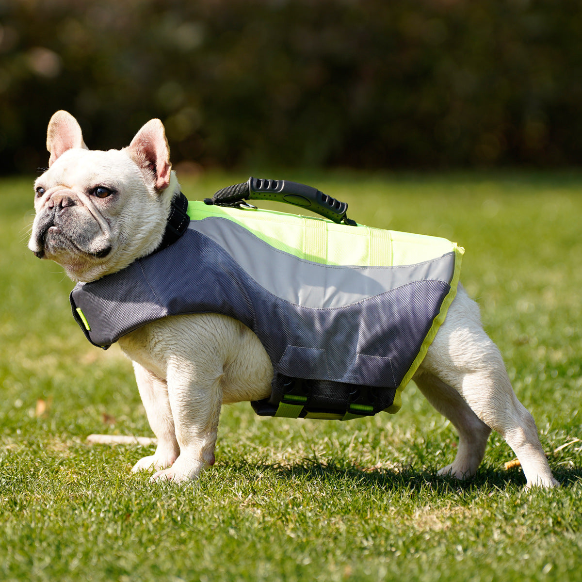 Reflective Pet Swimsuit Life Jacket