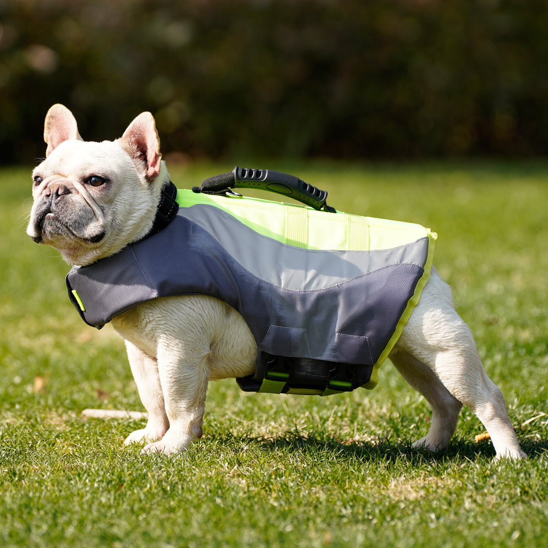 Reflective Pet Swimsuit Life Jacket