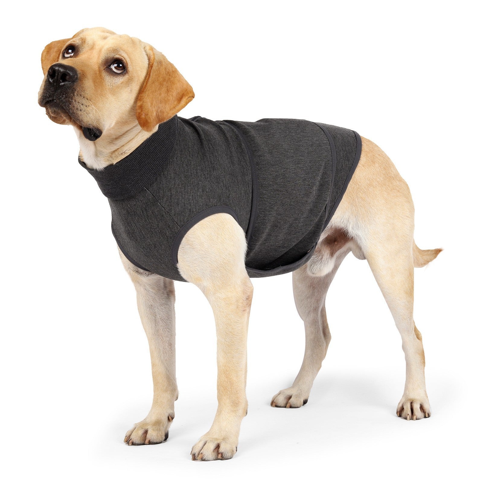 Polyester Cotton Double-Layer Pet Comfort Jacket
