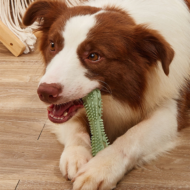 Chew Toys for Pet Teeth Cleaning and Dental Care