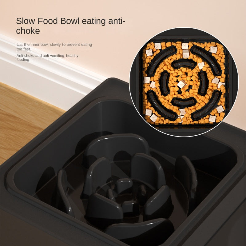 Double Stainless Pet Bowls with Adjustable Elevated Feeding Stand