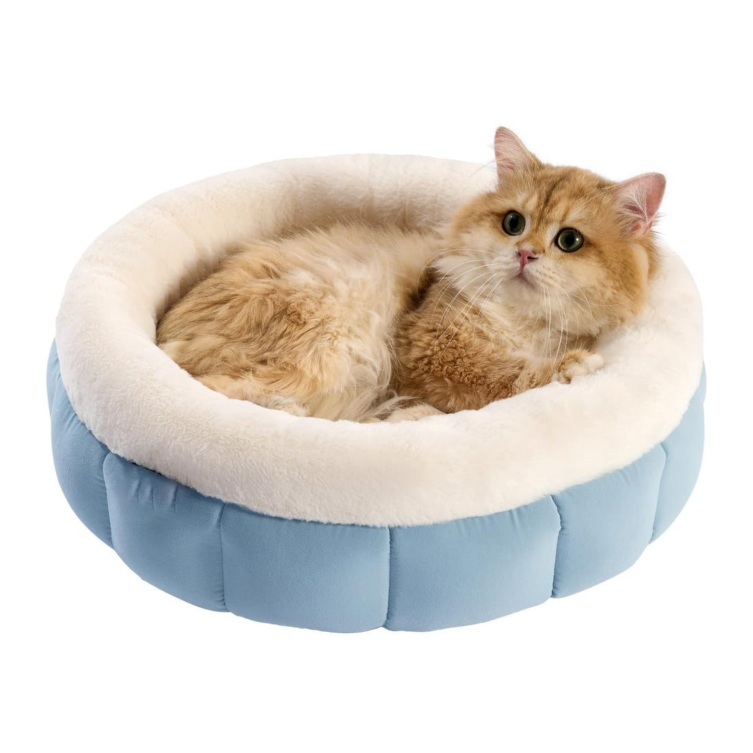 Round Donut Pet Bed Washable With Anti Slip Bottom For Comfort