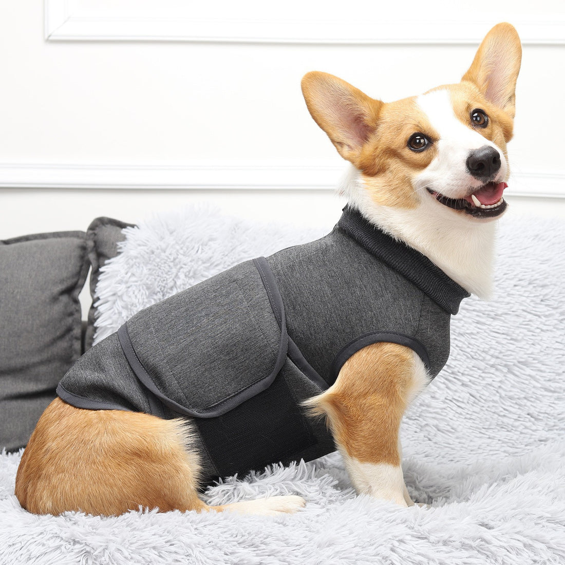 Polyester Cotton Double-Layer Pet Comfort Jacket