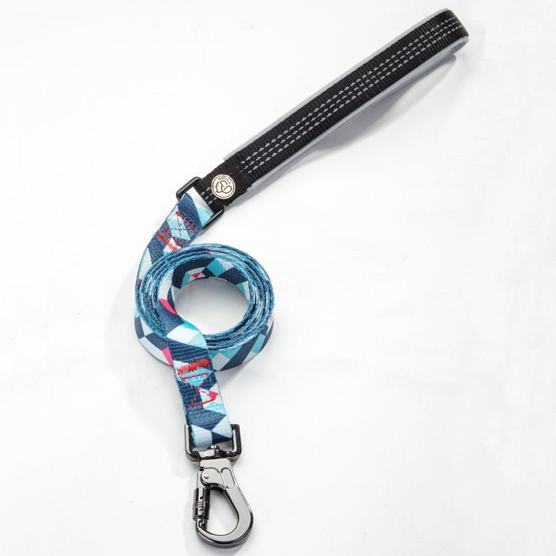 Pet Leash For Safe And Comfortable Everyday Walking
