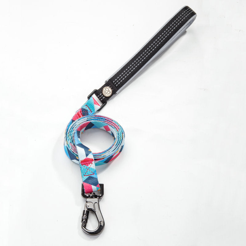 Pet Leash For Safe And Comfortable Everyday Walking