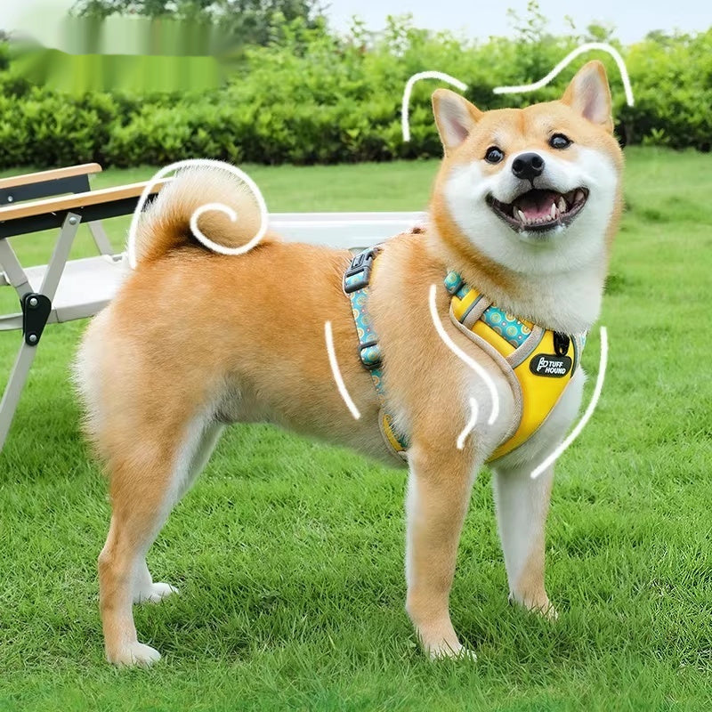 Pet Harness Vest Style Walking Leash For Small To Medium Pets