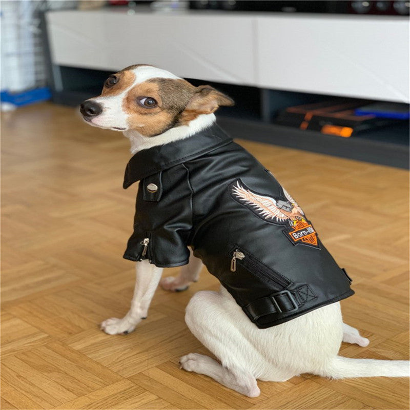Small Pet Leather Jacket With Embroidered Eagle Design