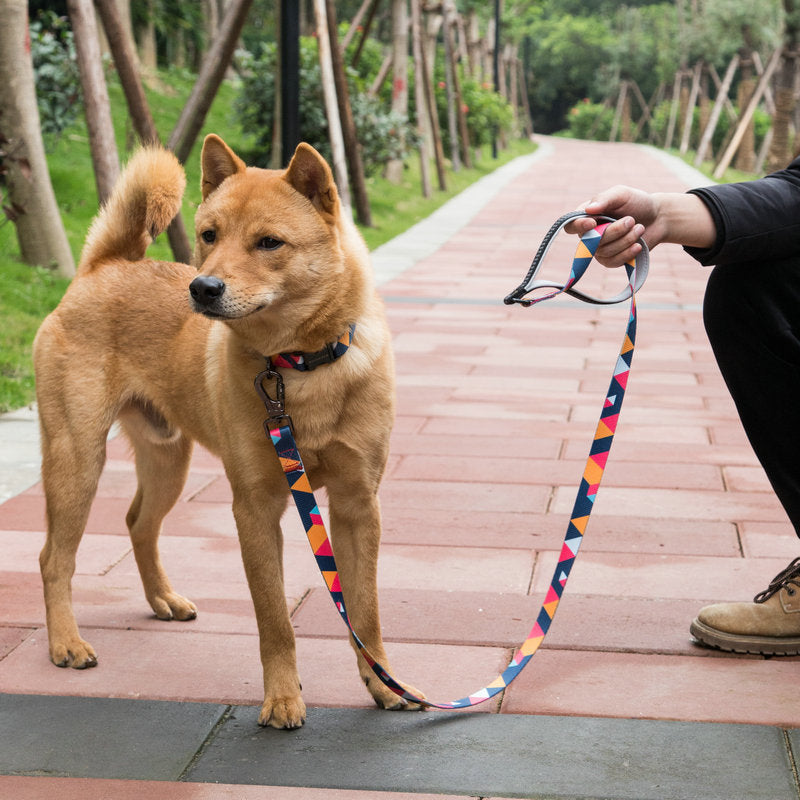 Pet Leash For Safe And Comfortable Everyday Walking