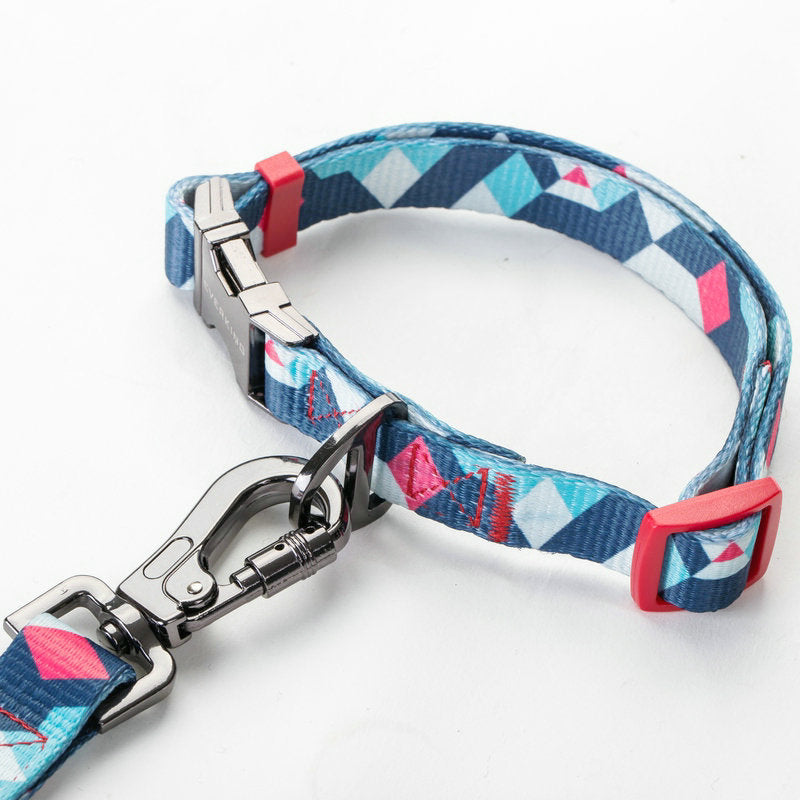 Pet Leash For Safe And Comfortable Everyday Walking