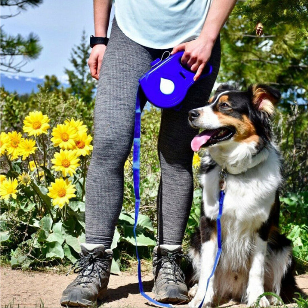 Multifunctional Automatic Retractable Pet Leash For Easy Portable Walking