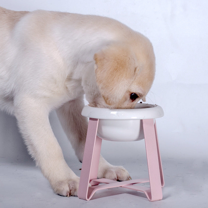 Creative Non-Slip Elevated 2-in-1 Food and Water Bowls for Pets