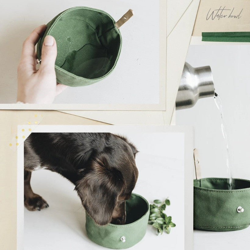 Foldable Canvas Water and Feeding Bowl for Pets