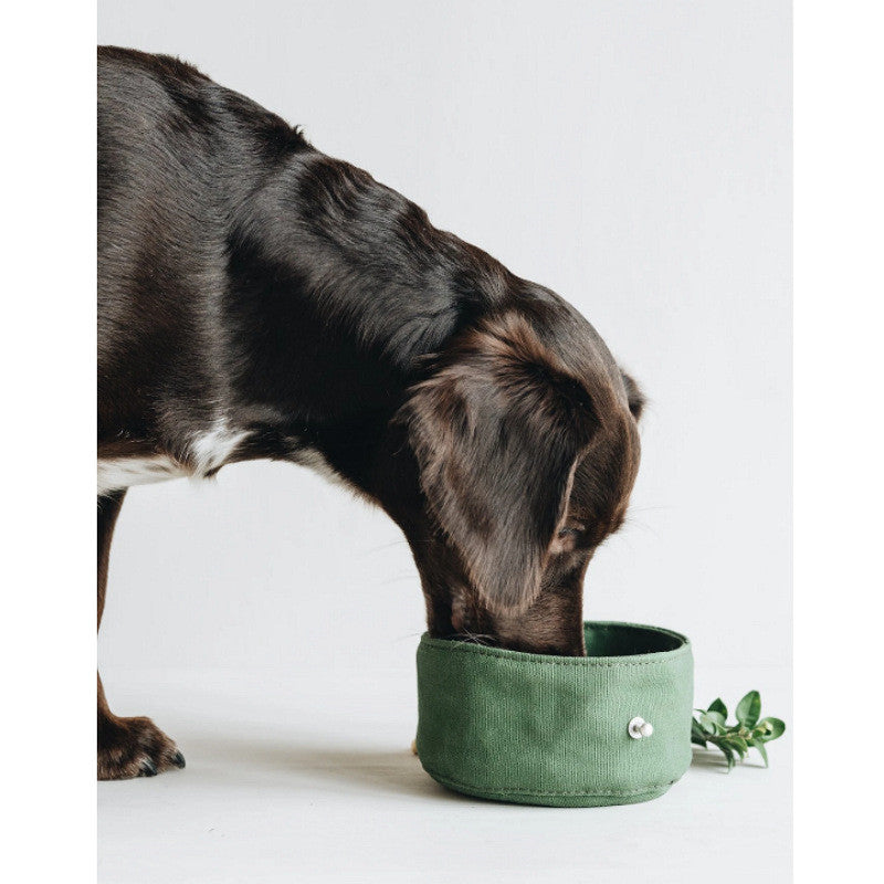 Foldable Canvas Water and Feeding Bowl for Pets