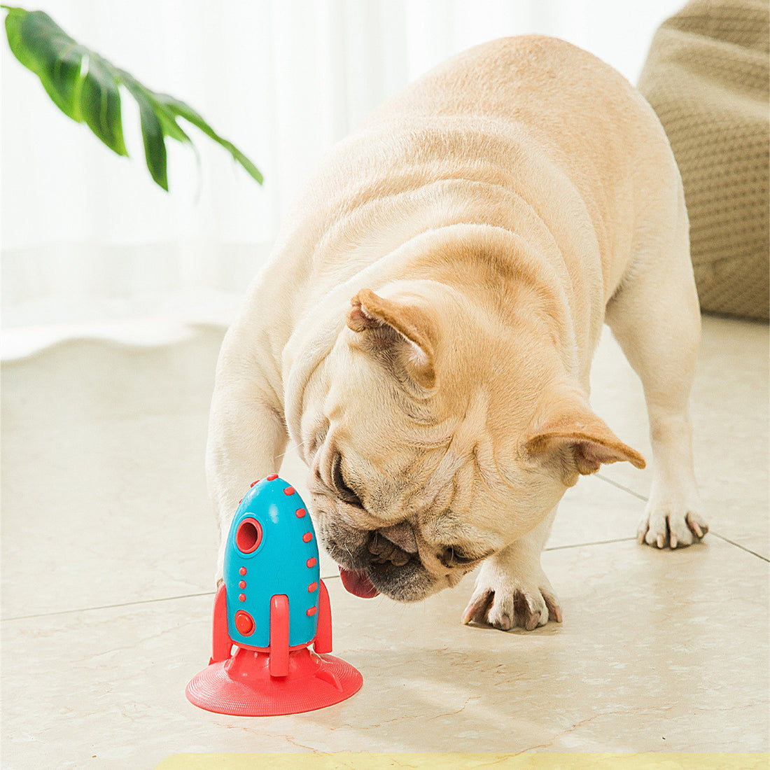 Rocket Bite-Resistant Interactive Toys for Pets