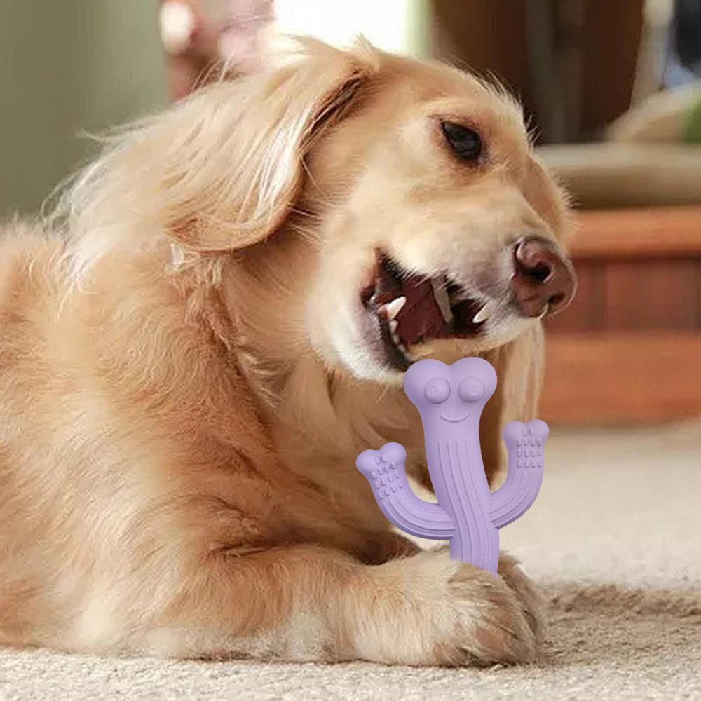 Ultra-Durable Cactus Chew Toys Interactive Fun for Pets