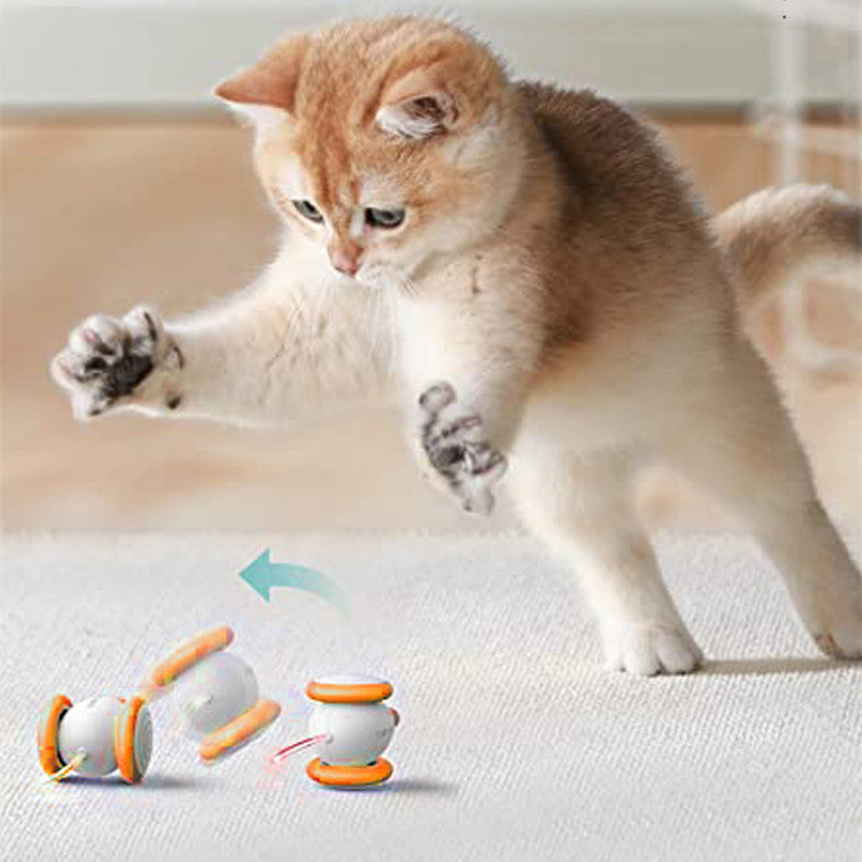 Electric Smart Rechargeable Pet Teaser Toy