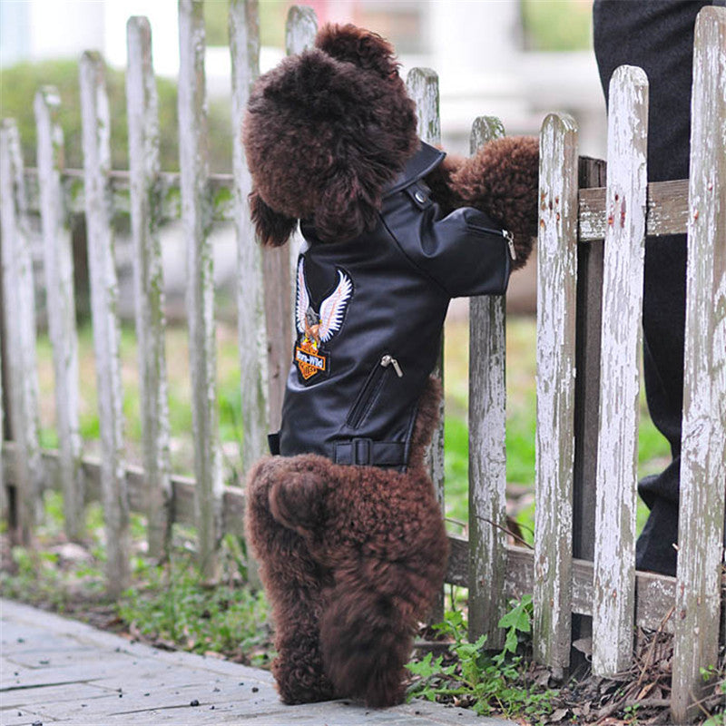 Small Pet Leather Jacket With Embroidered Eagle Design