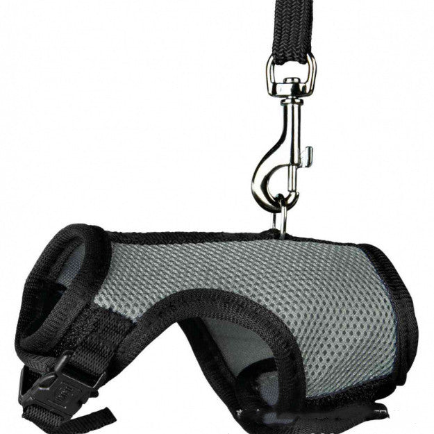 Small Pet Leash For Safe And Comfortable Walking