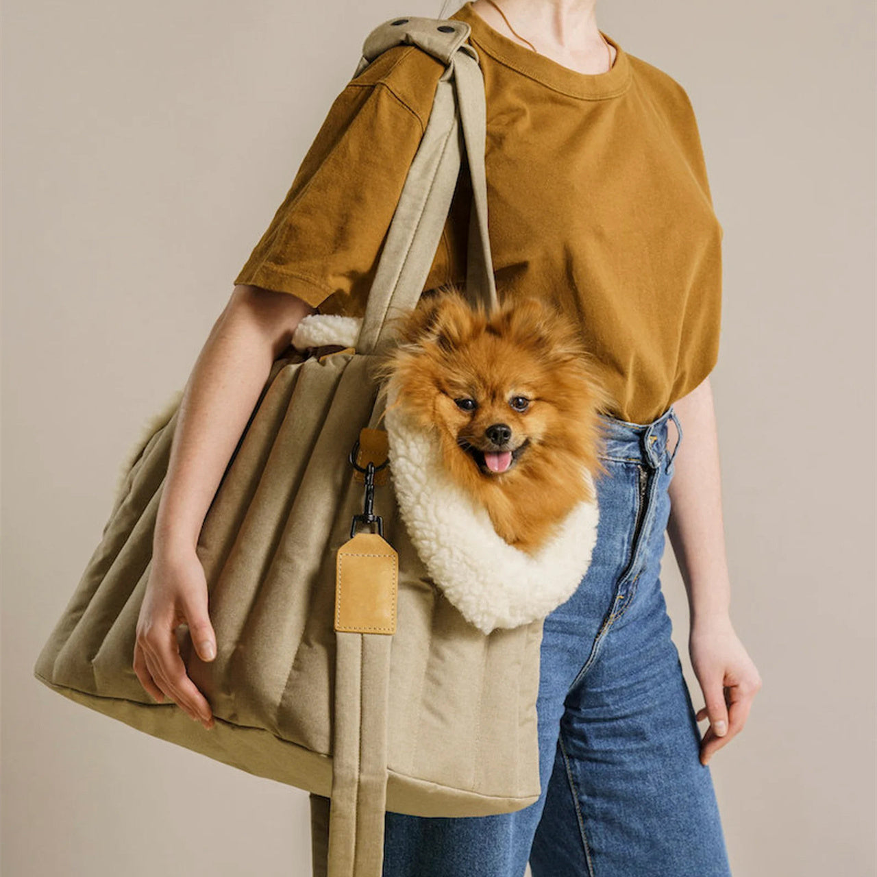 Lightweight Waterproof Portable Pet Carrier Bag For Travel