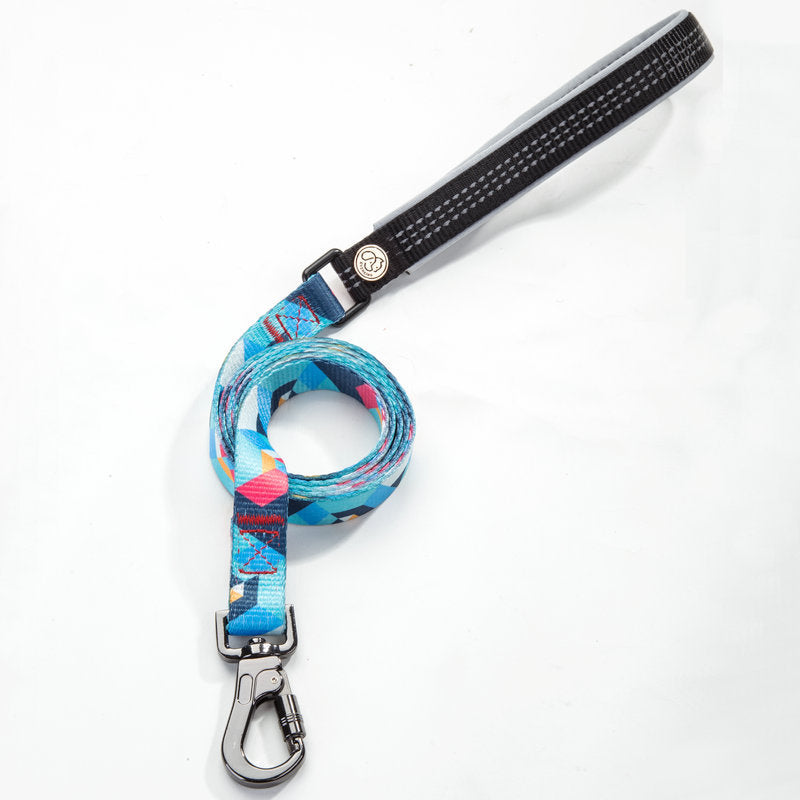 Pet Leash For Safe And Comfortable Everyday Walking