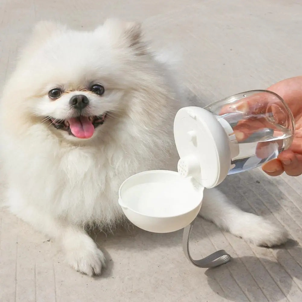 Portable Travel Water Bottle and Feeding Bowl for Pets