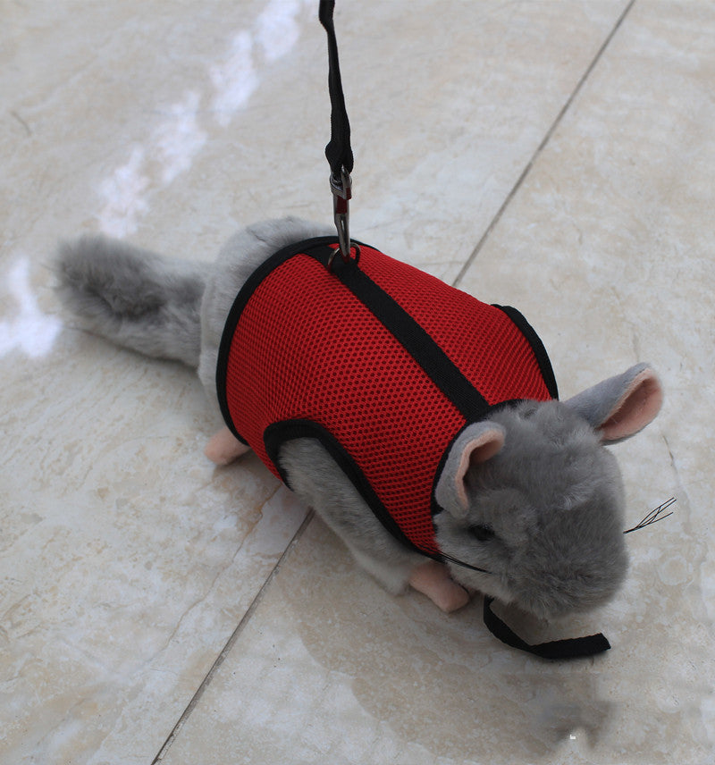 Small Pet Leash For Safe And Comfortable Walking