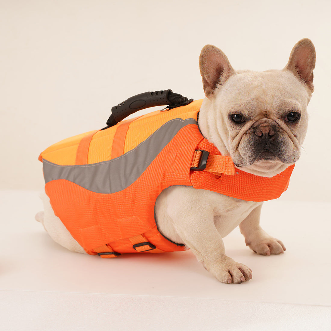 Reflective Pet Swimsuit Life Jacket