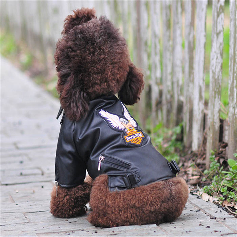 Small Pet Leather Jacket With Embroidered Eagle Design