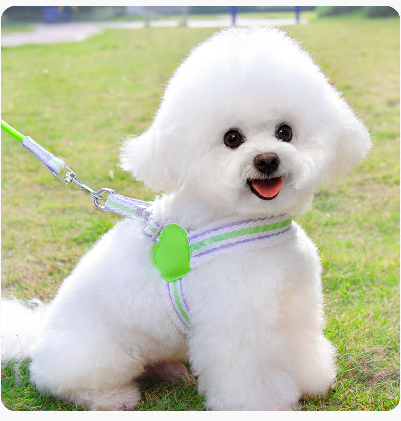 Summer Breathable Pet Vest Harness And Leash For Small Pets