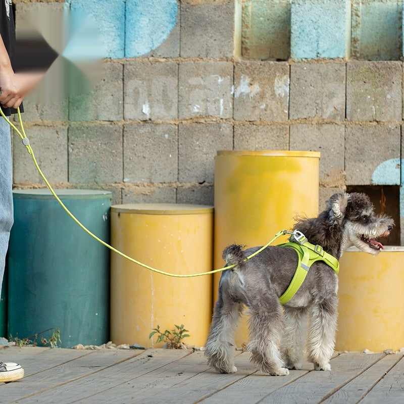 Colorful Adjustable Sliding Pet Leash For Secure And Comfortable Walking