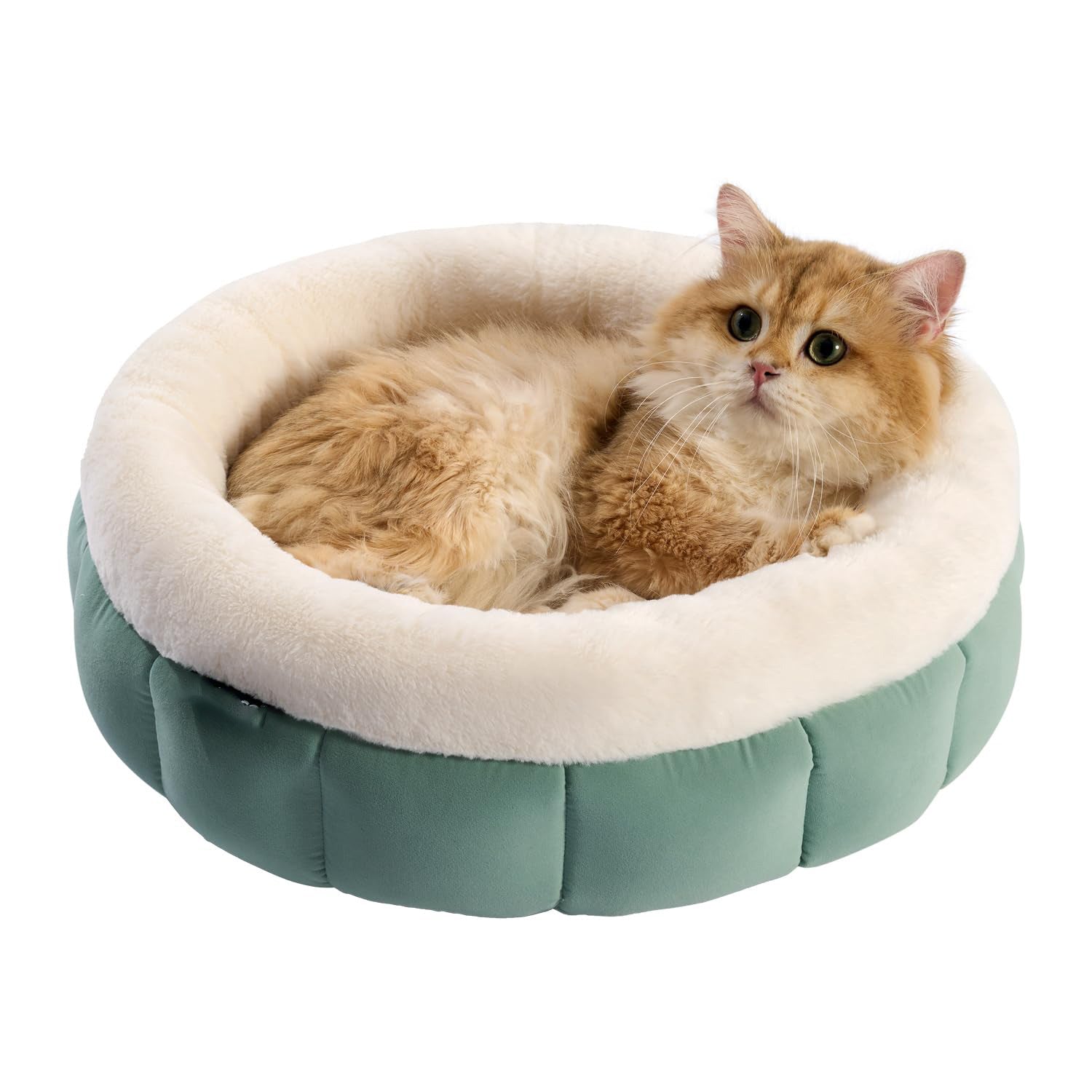 Round Donut Pet Bed Washable With Anti Slip Bottom For Comfort
