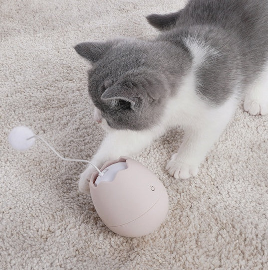 Funny Interactive Toys for Pets