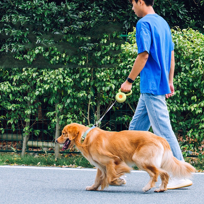 Retractable Reflective Pet Leash Rope For Safe Night Walking