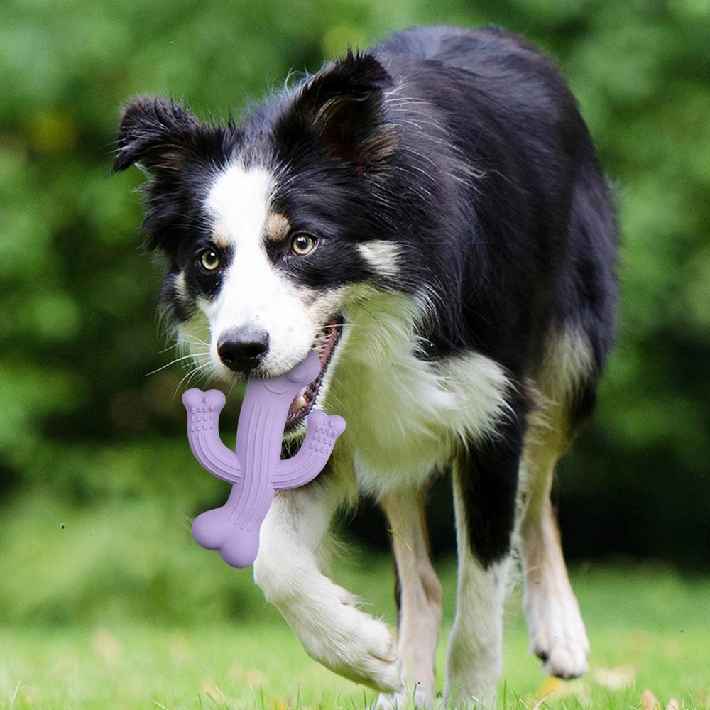 Ultra-Durable Cactus Chew Toys Interactive Fun for Pets