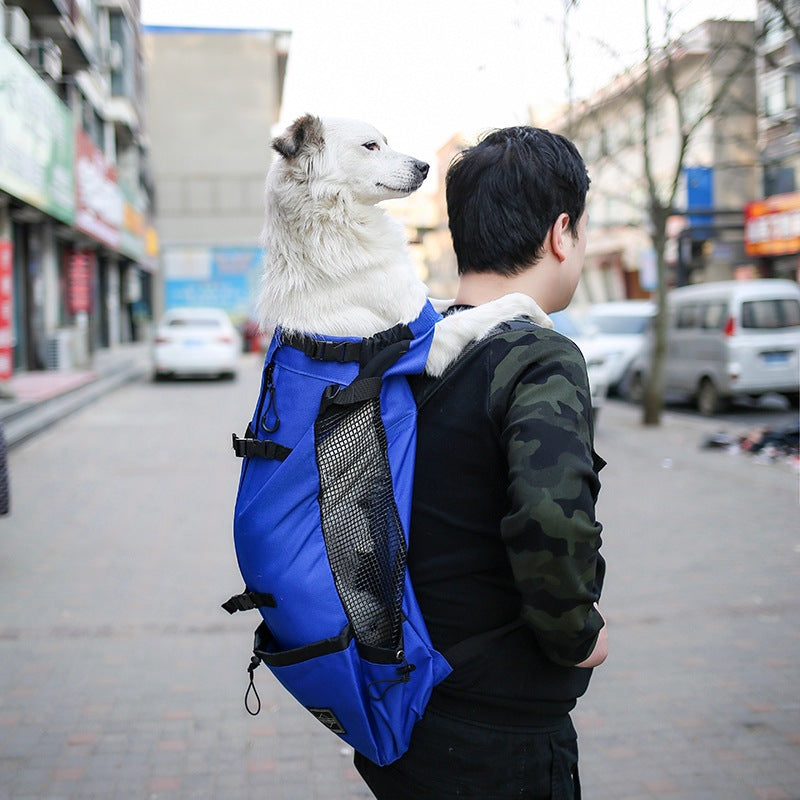 Portable Pet Carrier Backpack Double Shoulder Outdoor Travel Bag