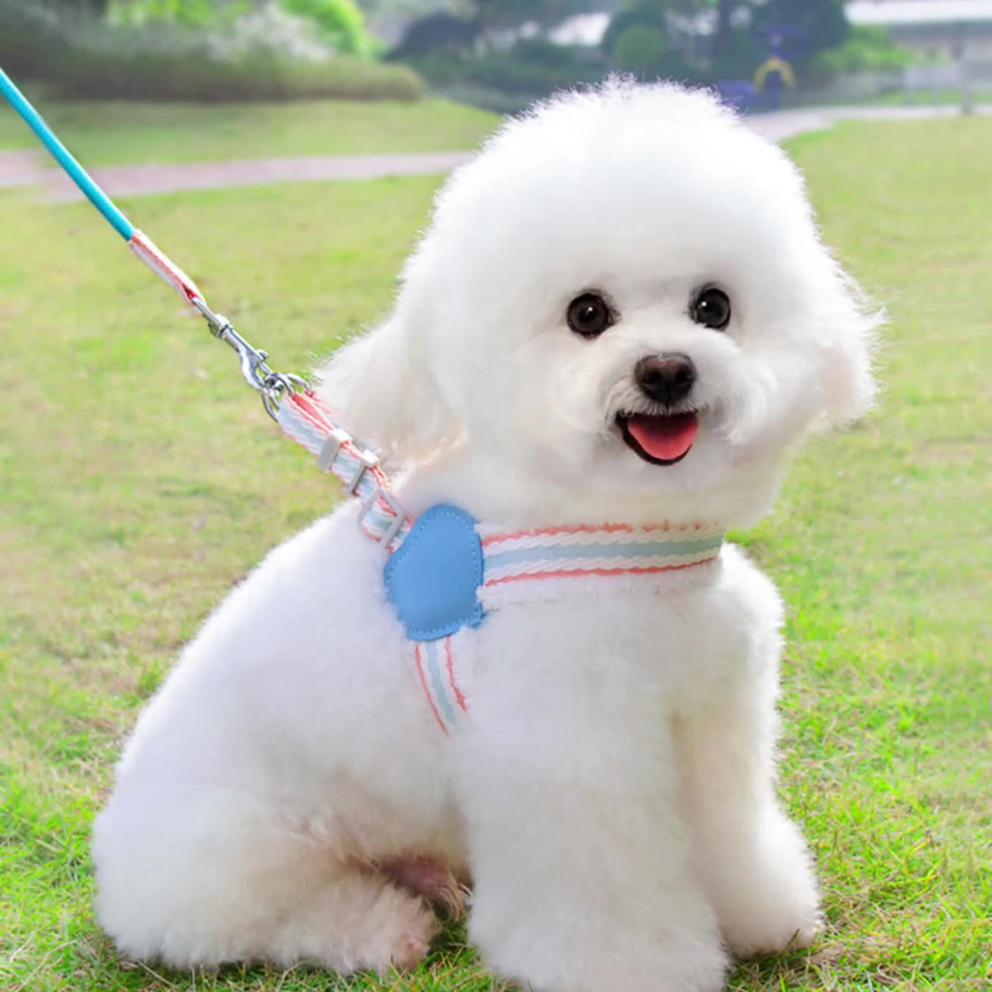 Summer Breathable Pet Vest Harness And Leash For Small Pets