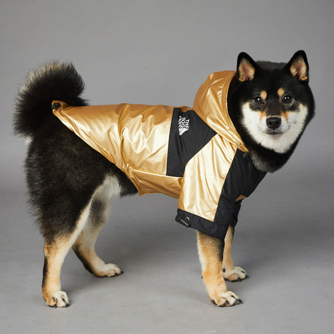 Large Waterproof Pet Raincoat Jacket