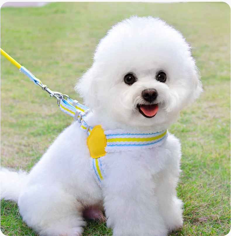 Summer Breathable Pet Vest Harness And Leash For Small Pets
