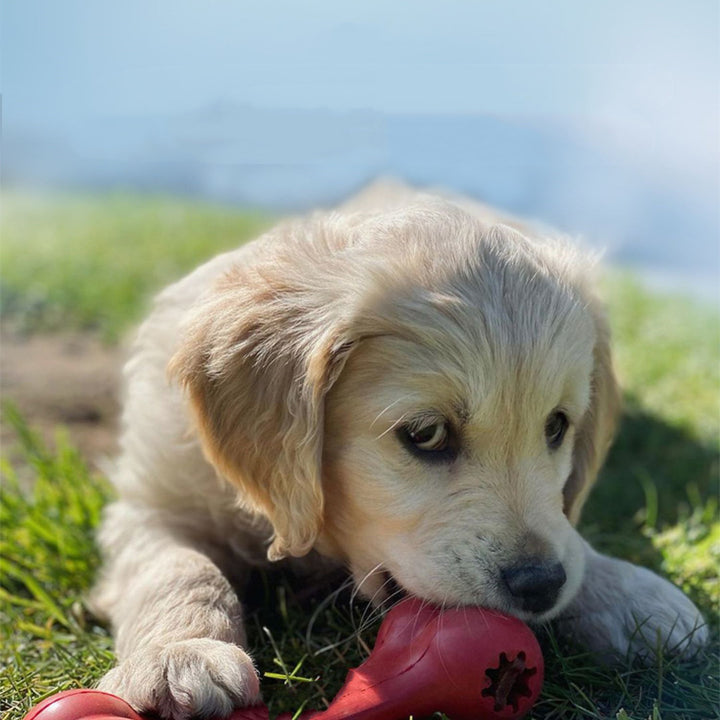 Durable Bite-Resistant Rubber Pet Chew Toy