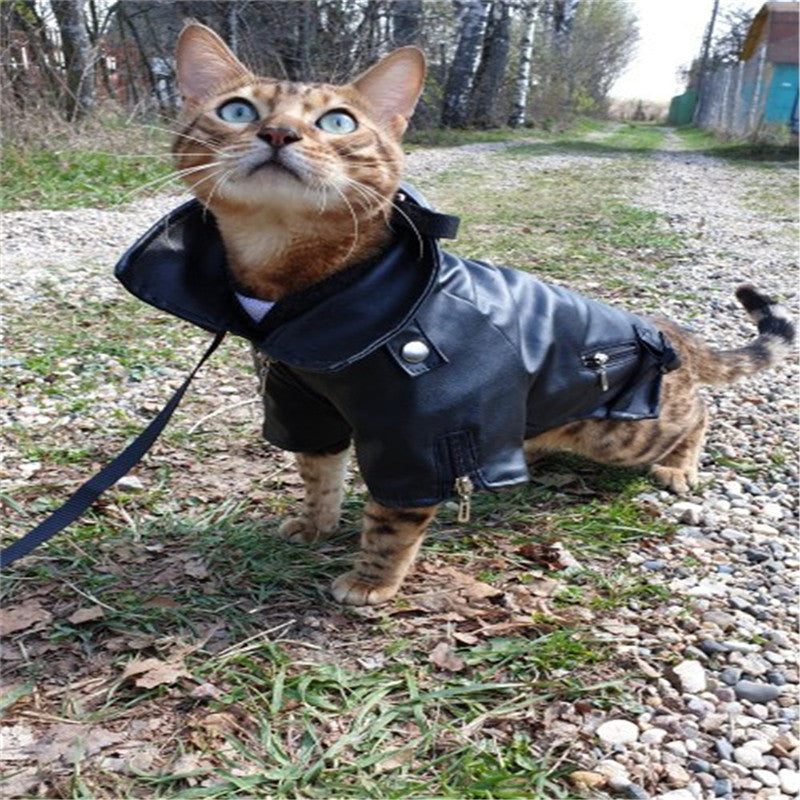 Small Pet Leather Jacket With Embroidered Eagle Design