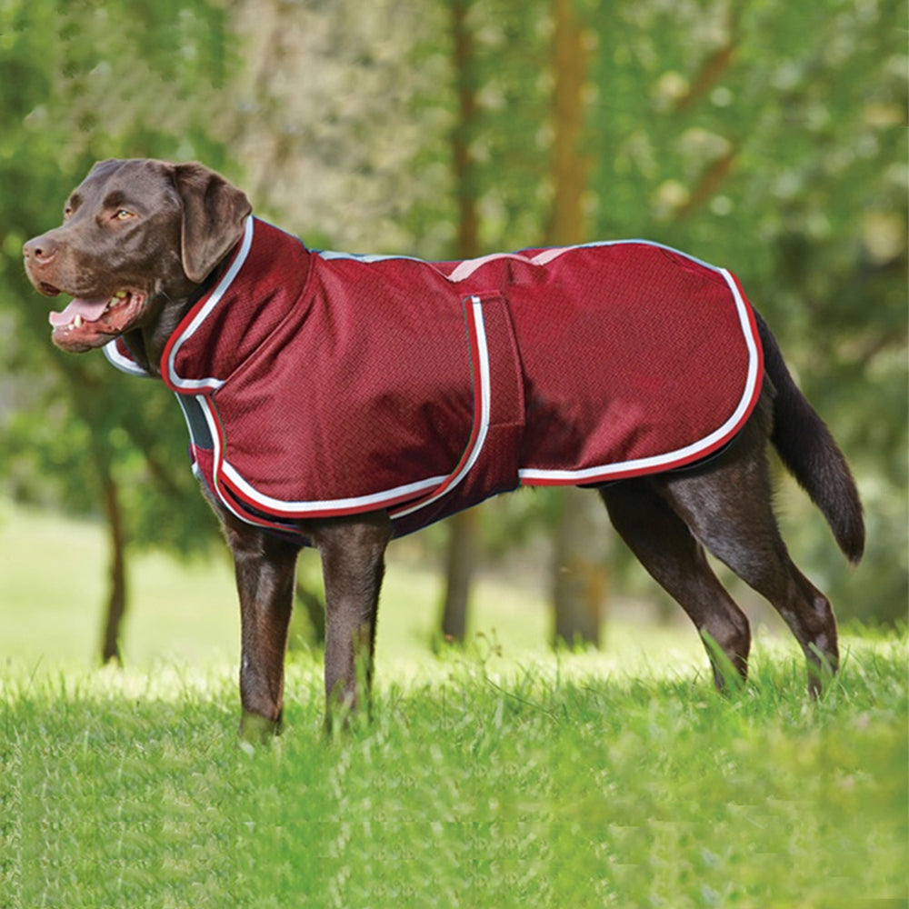 Autumn Winter Warm Waterproof Pet Leisure Jacket