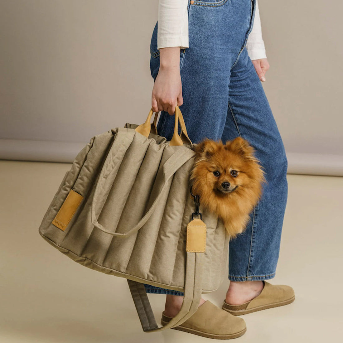 Lightweight Waterproof Portable Pet Carrier Bag For Travel