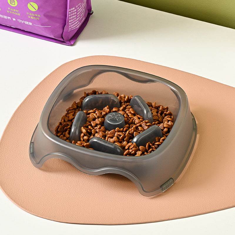 Slow Anti-Choking Water and Food Bowl for Pets