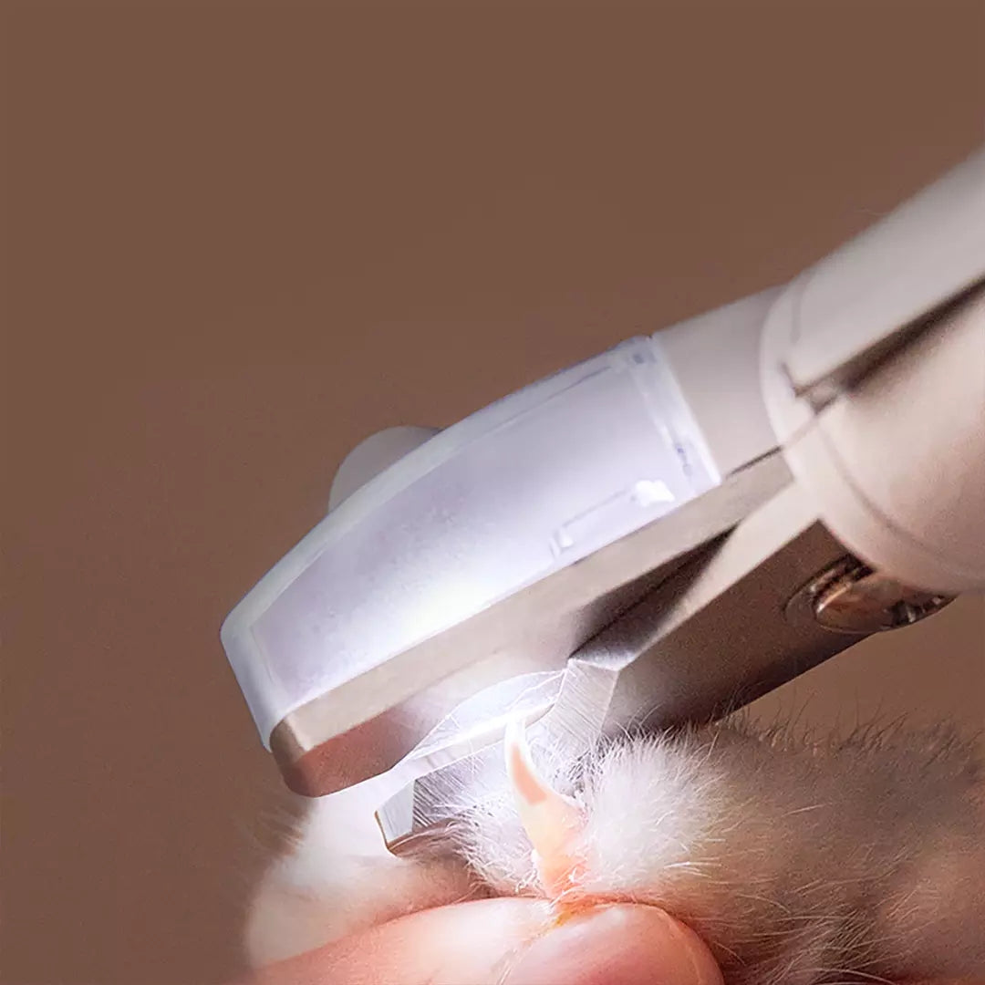 Professional Pet Nail Clipper Scissors With LED Light Grooming Tool