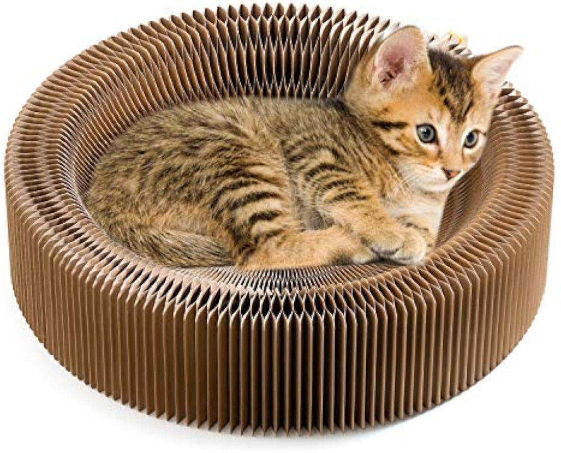 Collapsible Pet Scratcher Lounge Bed Corrugated Round Scratching Nest