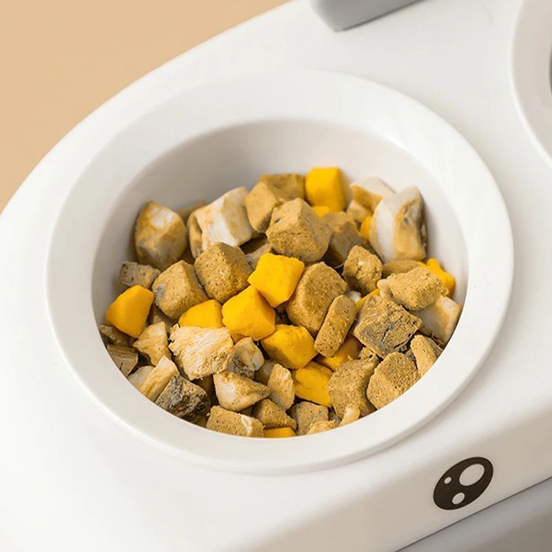 Duck Design Double Feeding Bowls for Pets