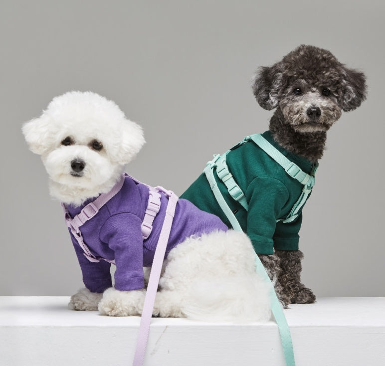 Macaron Style Pet Leash Trendy Design For Stylish Outdoor Walking